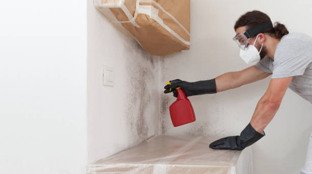 Professional Crawl Space Mold Removal technician working in Morrisville, NY
