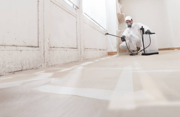 24/7 Emergency Crawl Space Mold Removal experts in Morrisville, NY