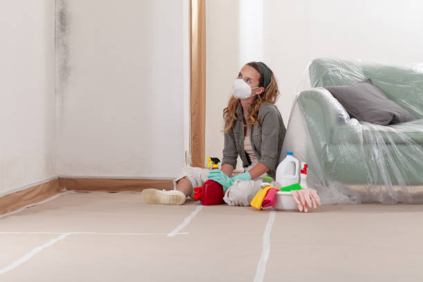 Reliable Crawl Space Mold Removal contractor in Morrisville, NY by WQB Mold Removal